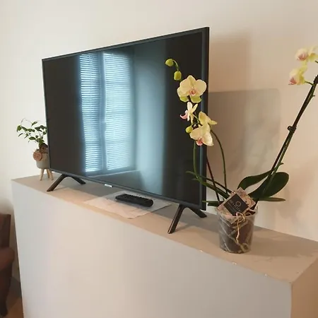 住宿加早餐酒店 La Jolie